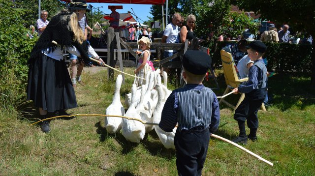 Ganzenmarkt (zondag  1 juli 2018)